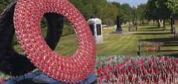 © National Arboretum